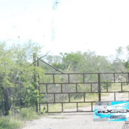 WhatsApp Image 2023-06-19 at 12.35.18 PM